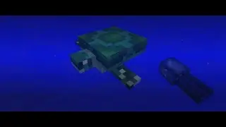 Minecraft 1.14 | Update Aquatic - Turtles!