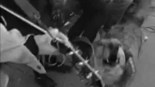 Leslie Spit Treeo - NEBULOUS