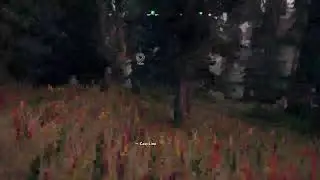 Biggest Chinook Salmon ever caught in far cry 5 (30 lbs)