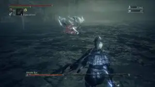 Sierota Kos (NG+)