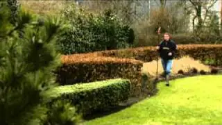 Butisan&reg; S.flv