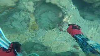 Lobster Dive At Comercial Pier at Lauderdale By The Sea