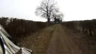 Abbotts Ann - Farm Road to Cattle Lane (Byway, N-S)