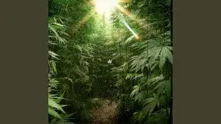 Jingle Bells (Weed Remix)