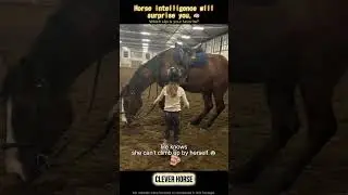 POV: When the horse out‑thinks you ✨#funny#horse
