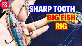WIRE LEADER FISHING FOR SHARP TOOTH FISH #sharptoothfish #bigfish  #wireleader