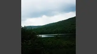 Silver Shivers