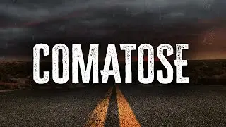Skillet - Comatose / Lyrics