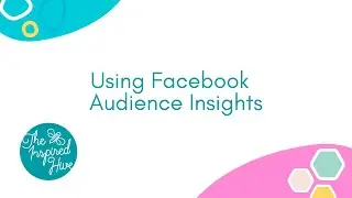 Facebook Audience Insights
