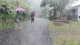 Relaxing Heavy Rain Walk: Mountain Village Life & Wind Sounds for Sleep Rain Sounds