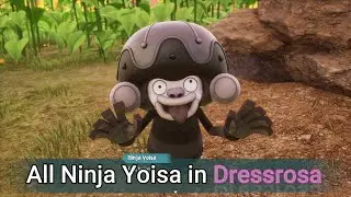 All Ninja Yoisa in Dressrosa