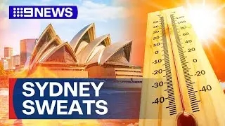 Sydney sweats through record-breaking temperatures | 9 News Australia