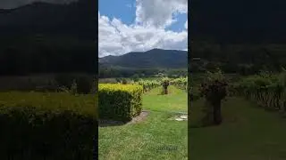 Winery in Hunter valley , NSW, Australia