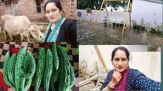 मायके में कुछ इस तरह से होते हैं Mere din ki shuruaat || himachal vlog || pahadi life || village 