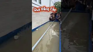 Kh&ocirc;ng Ngờ Chiếc Bobo Th&aacute;i N&agrave;y Chạy Nhanh Qu&aacute;#short