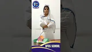 AFCS SCHOOL BAHAWALPUR #october #viral #short
