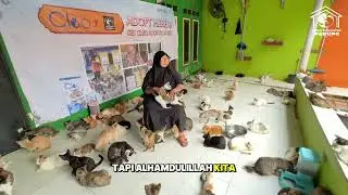 Apa yang terjadi di Rumah Kucing Parung ⁉️Kalau musih hujan datang 🌧️🏡 | Anabul RKP aman di sini ☺️