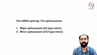 RNA Splicing, Export and Stability: Different Spliceosomes #swayamprabha #CH31SP