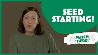Poplar Magazine - Video Column from the spring issue 2023.