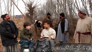 نمایشنامه جالب.. گوساله گیپک پیدا شد 100افغانی شیرینی داد 
