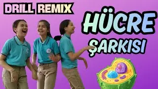 Hücre Şarkısı (Drill Remix) Serseri Organel Edit