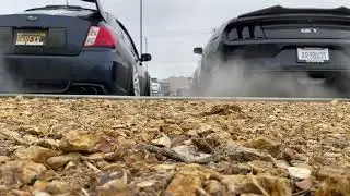 Mustang 5.0 Vs Subaru WRX - 2 STEP BATTLE