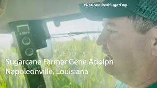 National Real Sugar Day with Farmer Gene Adolph