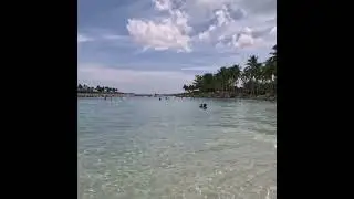 Amazing clean/clear ocean water at DuBois Park, Jupiter Florida #florida #ocean #beach #snorkeling