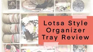 Lotsa Style Organizer Tray Review