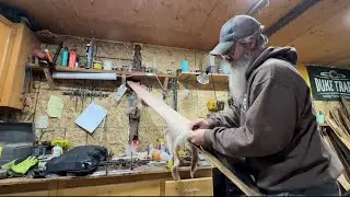 Boarding a coyote and cabin sight prep today #offgrid #offgridliving #offgridlife 