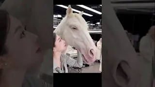 Japan's realistic robot horse! #shortsvideo #horse