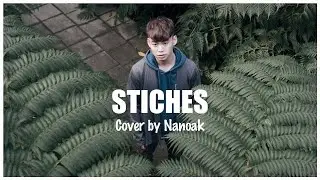 Stiches⎪Ｍusic Video Cover by Nanoak