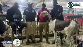 GUBA International Trade Fair Livestock Improvement with live coverage by SAAMA SA JURR NETWORK