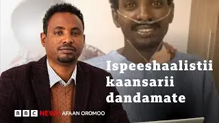 Ispeeshaalistii Itoophiyaa, Hinditti kaansariirraa tiruu obboleessi arjoomefiin fayye