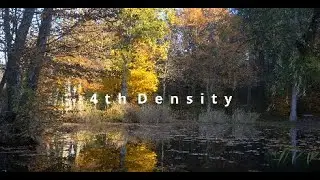 4th Density Consciousness Bridge