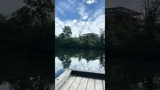 Short video dela ciudad de Newton Massachusetts Area de charles River Reservation