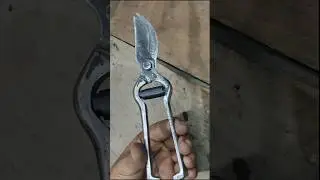 From Rusty to Shiny! Scissors Cutter Restoration ✨ #Shorts