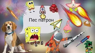Клип пёс патрон! ✨🍒 Чери Вивия// Тока бока// Cherry Vivia// Toca boca 🍒🤪🍓