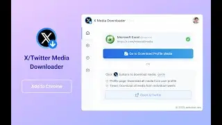 How to bulk download images and videos from X/Twitter? (X Media Downloader)