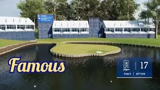 The Players Championship Hole 16 & 17
