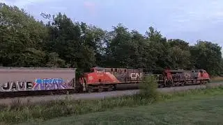 CN 2864 Cobden, IL