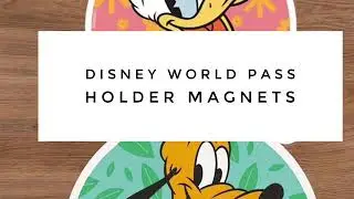 Disney World Pass holder Magnet collection