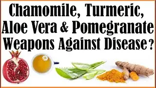 Chamomile, Turmeric, Aloe Vera and Pomegranates- Weapons Against Disease?