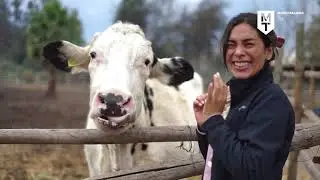 Capítulo 3 Granja Educativa de Lonquén - Travesía Isleña en Invierno