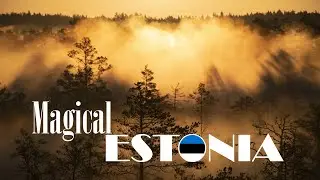 Discover Estonia: Suurupi cliff, Pakri lighthouse, Marimetsa & Viru bog trails, J&auml;gala waterfall