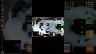 Easy level chess play win no 1