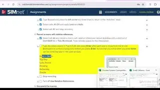 Excel 2021 in Practice - Ch 8 Independent Project 8-5 (windows only) | Excel 2024 Chapter 8