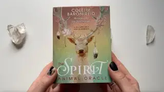 ORACLE CARDS: The Spirit Animal Oracle Deck full flip through