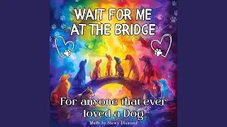 Wait for me at the Bridge
