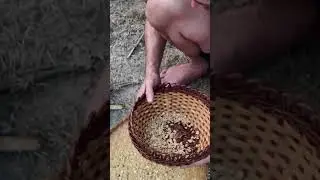 Paleo tech mesquite pod meal demo